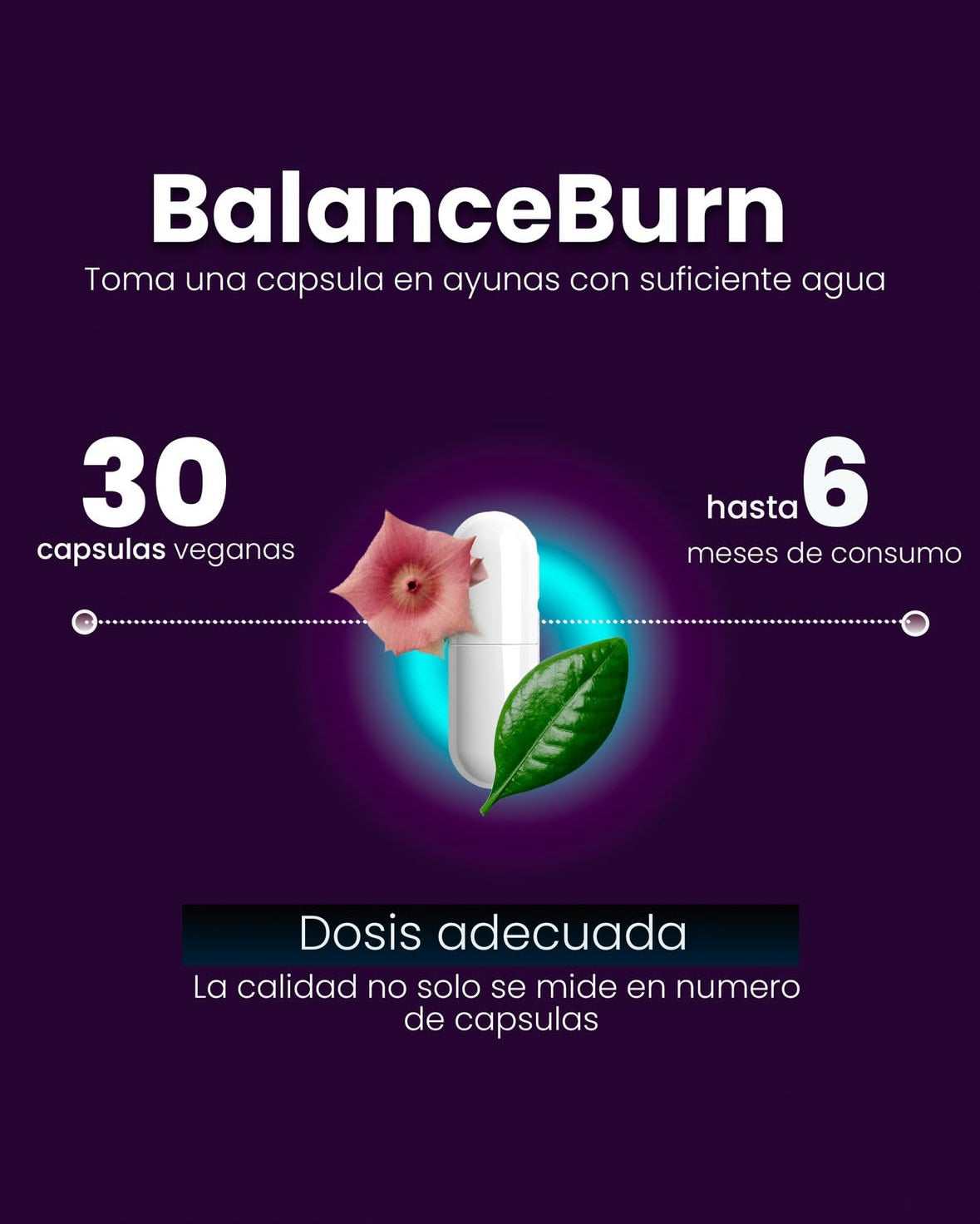 Suplemento Balanceburn